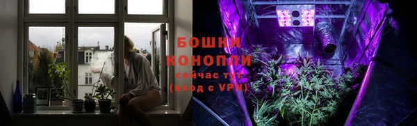 шишки Володарск