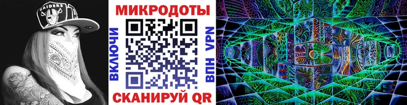 сколько стоит  Нытва  Псилоцибиновые грибы мицелий 